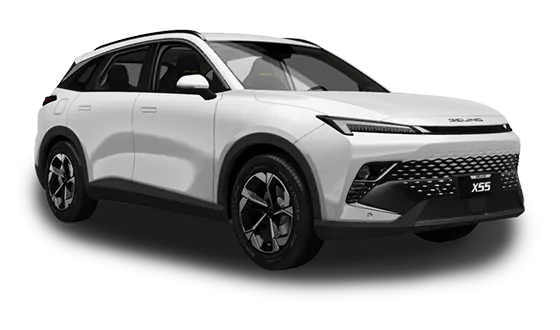 X55