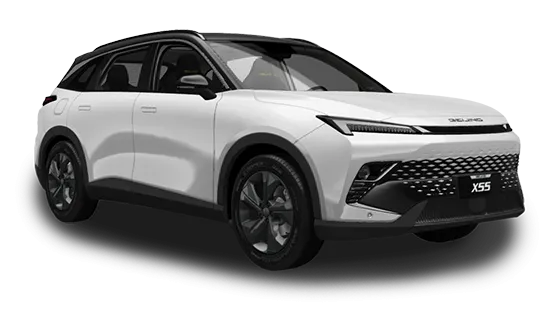 X55