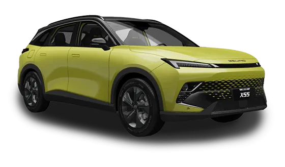 X55