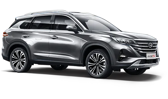 GS5