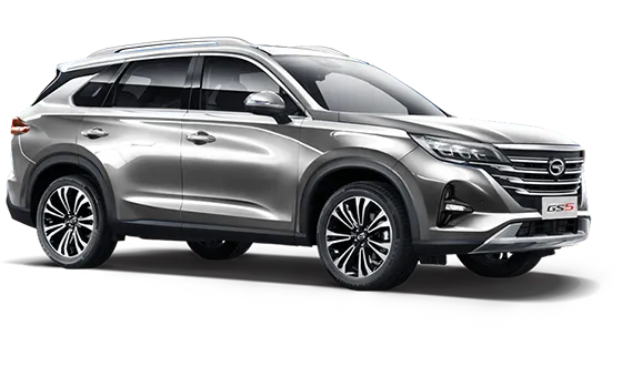 GS5