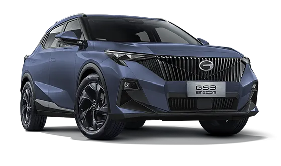 GS3