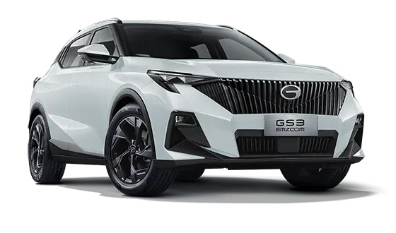 GS3