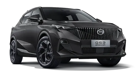 GS3