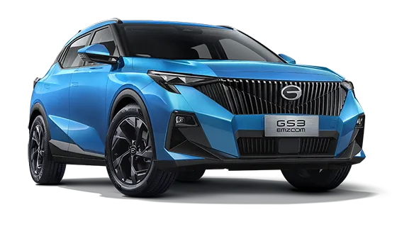 GS3