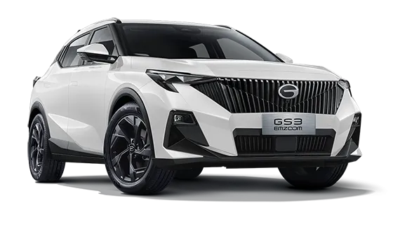 GS3