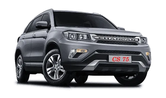 CS75