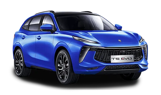 T5 EVO