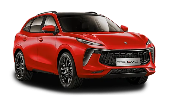 T5 EVO